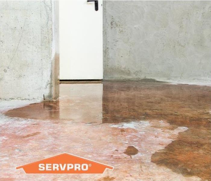 servpro logo and water damage 
