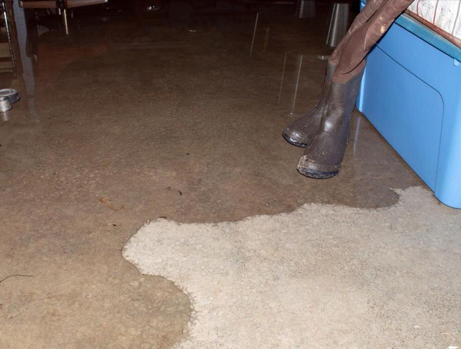 water damage in a basement boots in water